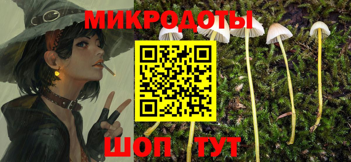 Галлюциногенные грибы Cubensis  Галлюциногенные грибы прущие грибы  Шатура  закладка  Вход с VPN 
